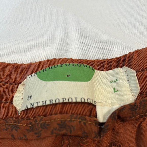 Anthropologie Rust Track Pants L - Picture 2 of 10